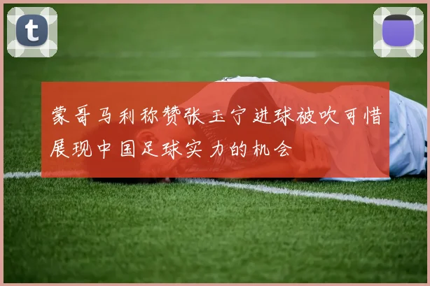 蒙哥马利称赞张玉宁进球被吹可惜展现中国足球实力的机会